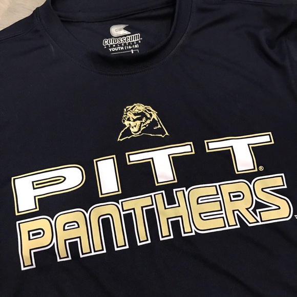 Pittsburgh panthers - Picture 2 of 3